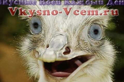 Struś