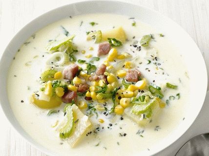 „Zupa