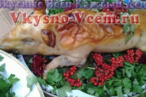 „Świnia